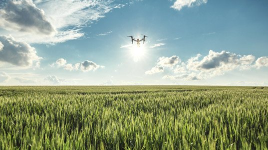 modern agribusiness